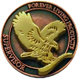 Supervisor pin