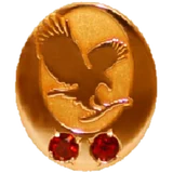 Senior Manager pin